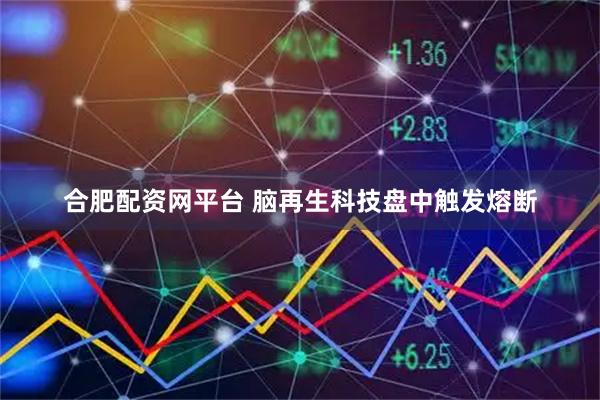 合肥配资网平台 脑再生科技盘中触发熔断