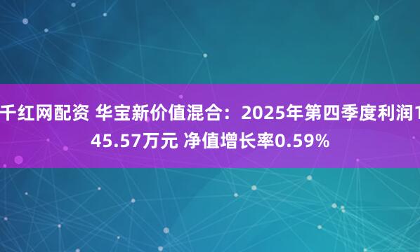 千红网配资 华宝新价值混合：2025年第四季度利润145.57万元 净值增长率0.59%