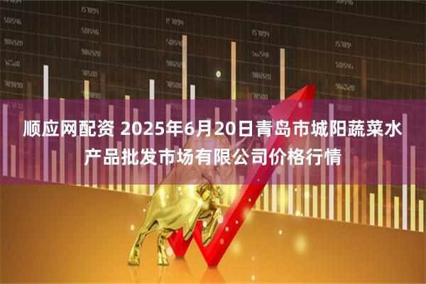 顺应网配资 2025年6月20日青岛市城阳蔬菜水产品批发市场有限公司价格行情